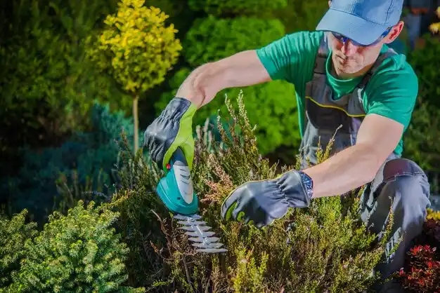 landscaping services Vineyard Lake